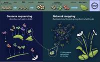 Protein Network Maps