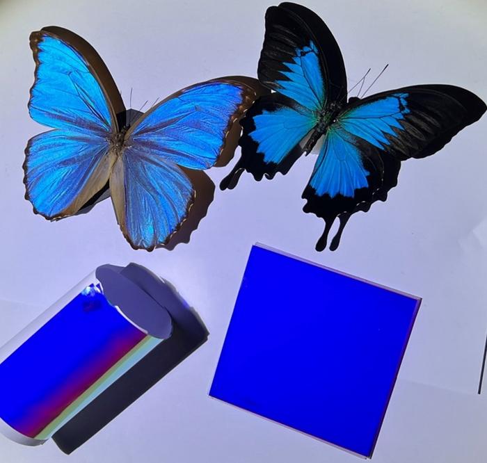 Morpho butterflies and cooling films