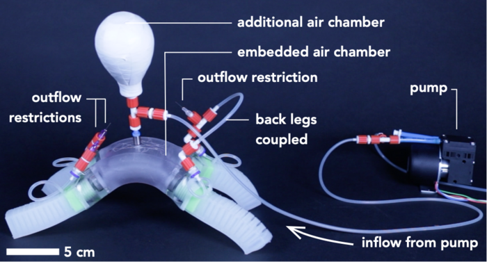 Responsive Soft Robots Inspired by Sputtering Ketchup Bottle