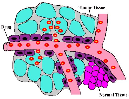 Drug-Loaded Nanocarriers in Tumor Targeted Drug Delivery
