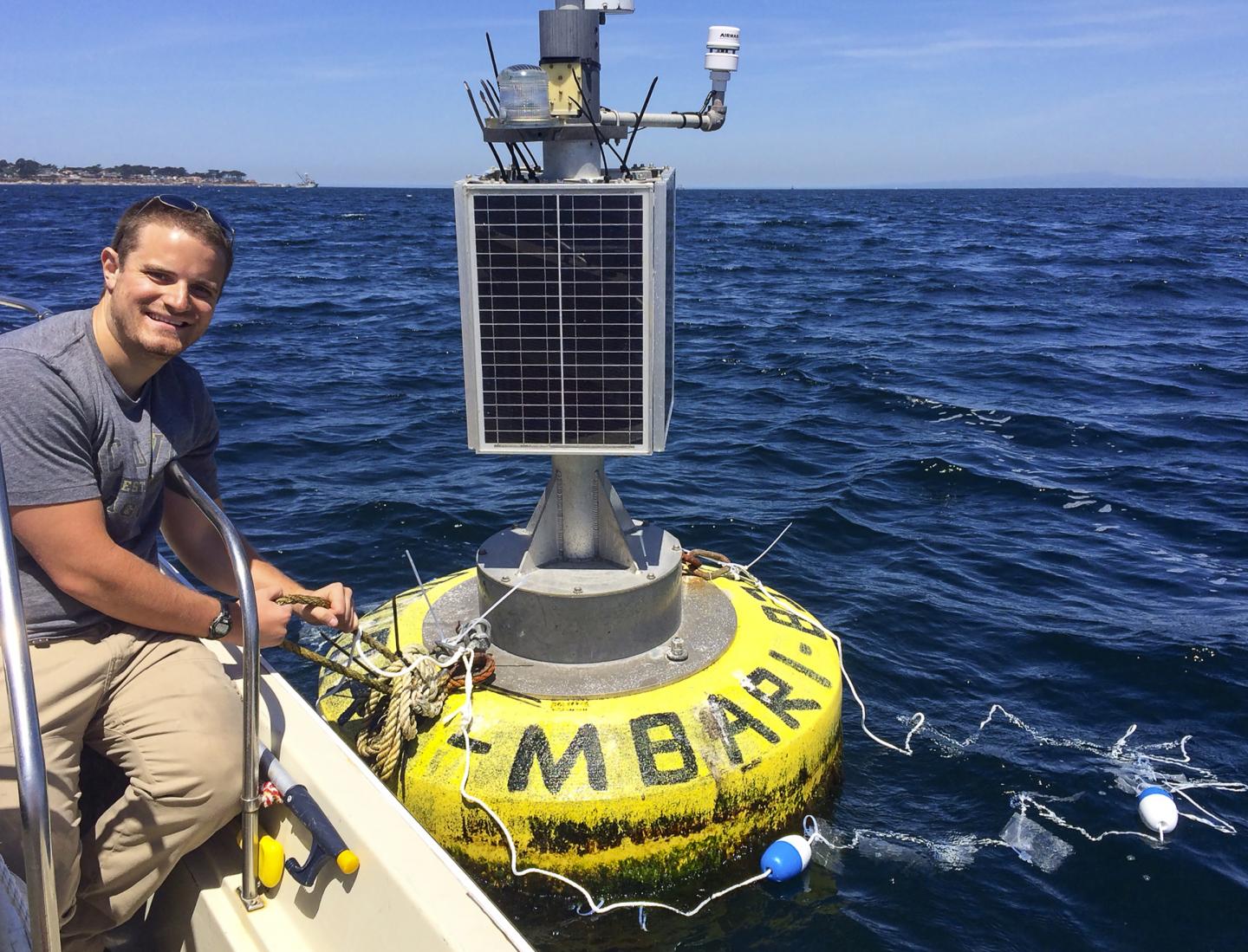 Plastic Debris With Natural Scent Attracts Seabirds (3 of 3)