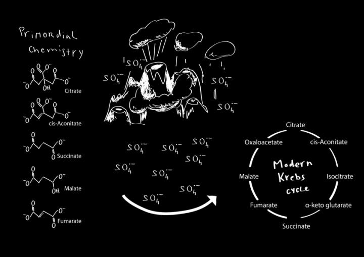 An Enzyme-Free Krebs Cycle May Have Been Key Step in Origin of Life on a Harsh, Volcanic Earth Four 