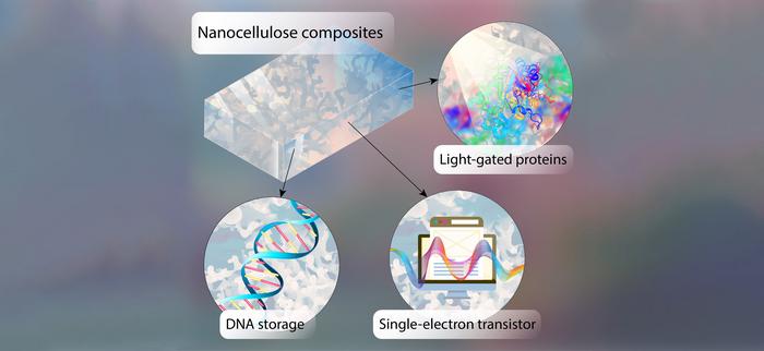 DNA chips as storage media of the future: Wha | EurekAlert!