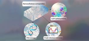 DNA Chip Design