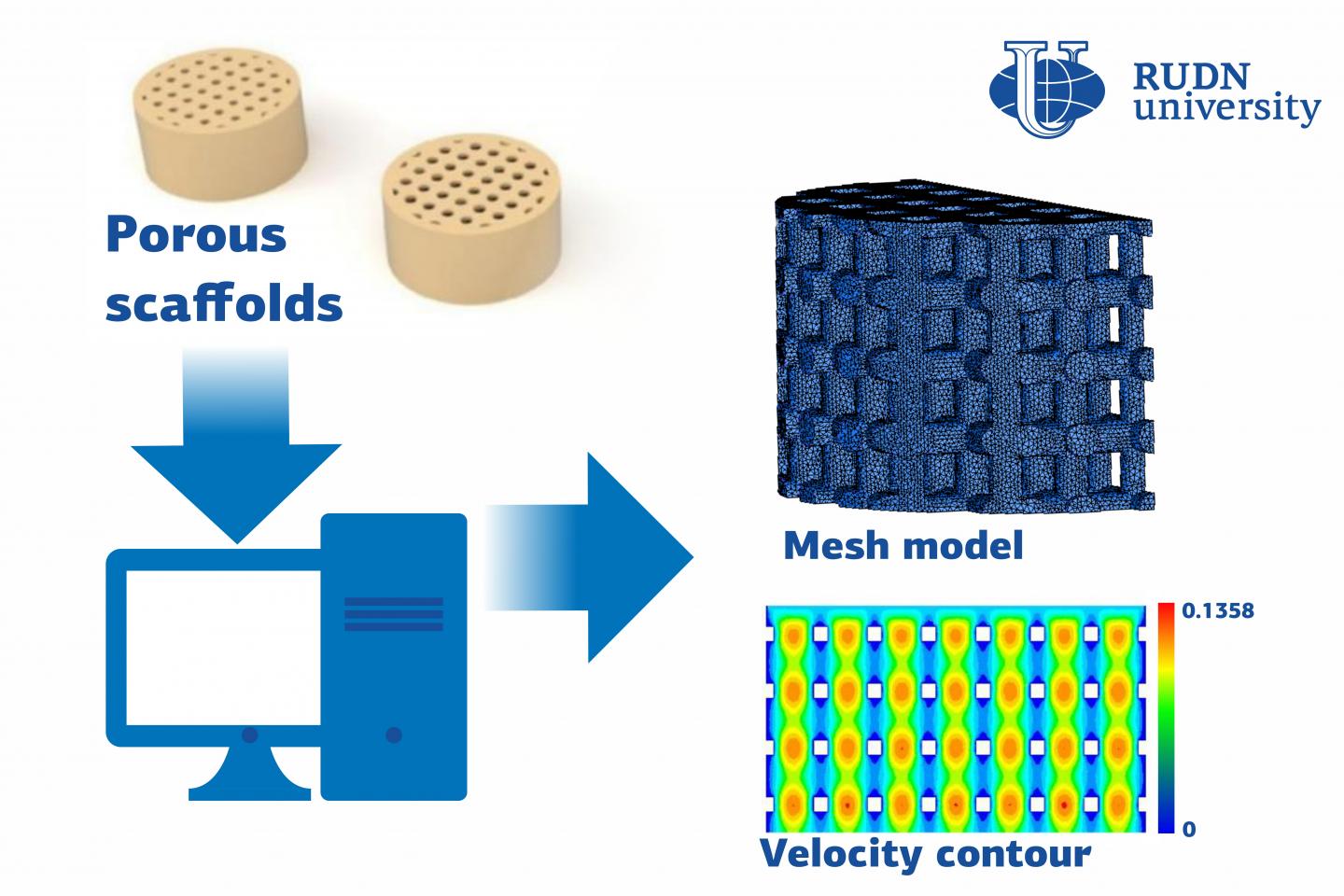 RUDN University Professor Suggested how to Calculate the Implant Materials Permeability