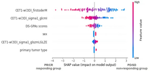 Novel Radiomic Model Helps Predict the Treatment Response of Radiotherapy in Patients with Brain Metastases