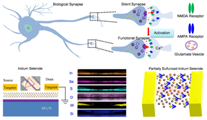 Silent Synapse image