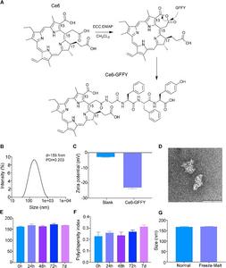 Synthesis and characterization of Ce6-GFFY