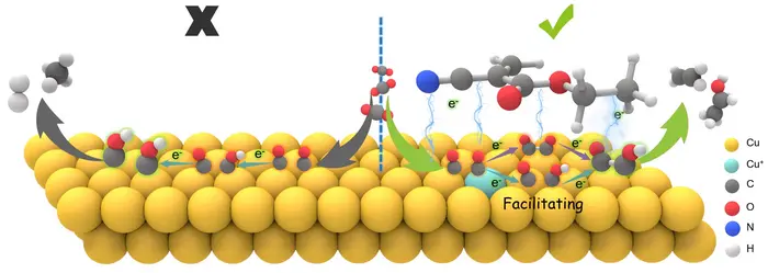 Schematic diagram of the mechanism for CO2 conversion to multicarbon products on the polymer-modified Cu electrodes.