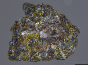 The stereomicrographs of typical basaltic clasts from Chang'E 5 lunar sample