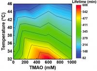 TMAO Prolongs Lifetime of Molecular Interactions