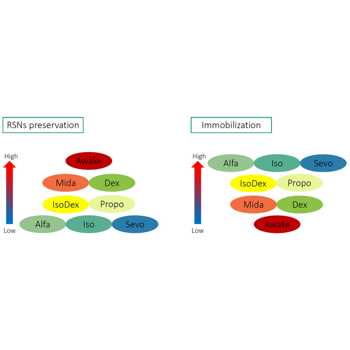 RSN preservation vs. immobilization.