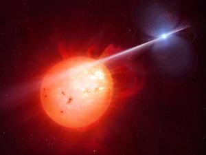 White dwarf pulsar