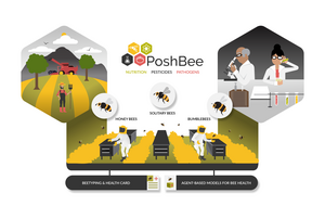 PoshBee overview