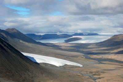 Ancient Forest Emerges Mummified From The Arctic (3 of 3)
