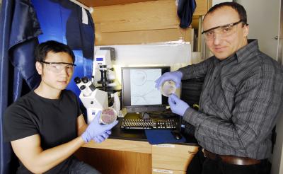 Kostas Konstantinidis, Georgia Institute of Technology