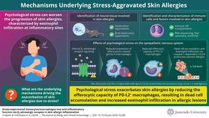 Reduced anti-inflammatory function of macrophages in stress-induced exacerbation of skin allergies