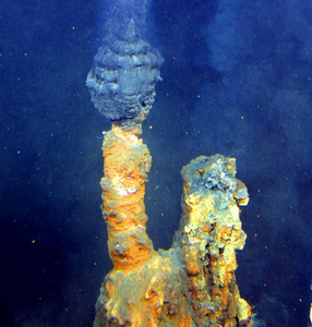A hydrothermal vent system