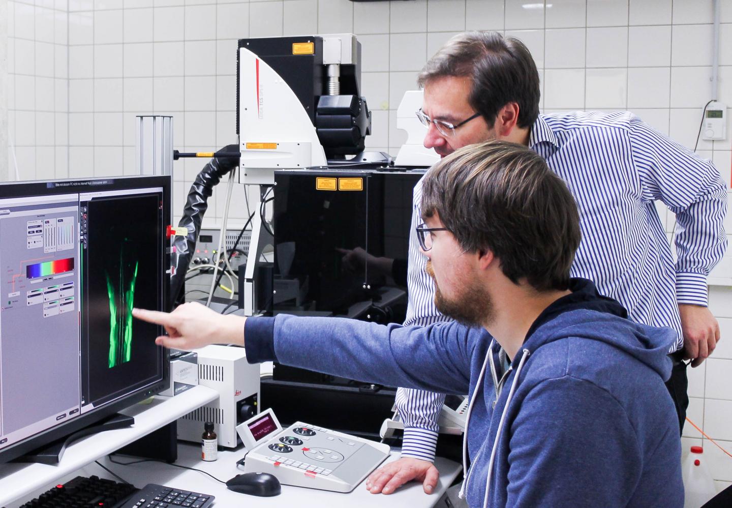 Using a Two-Photon Microscope