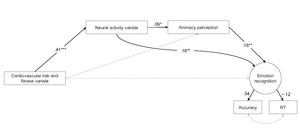 Figure 2: The connection between cardiovascular risk factors/fitness and social cognitive functions through neural activity during social cognition