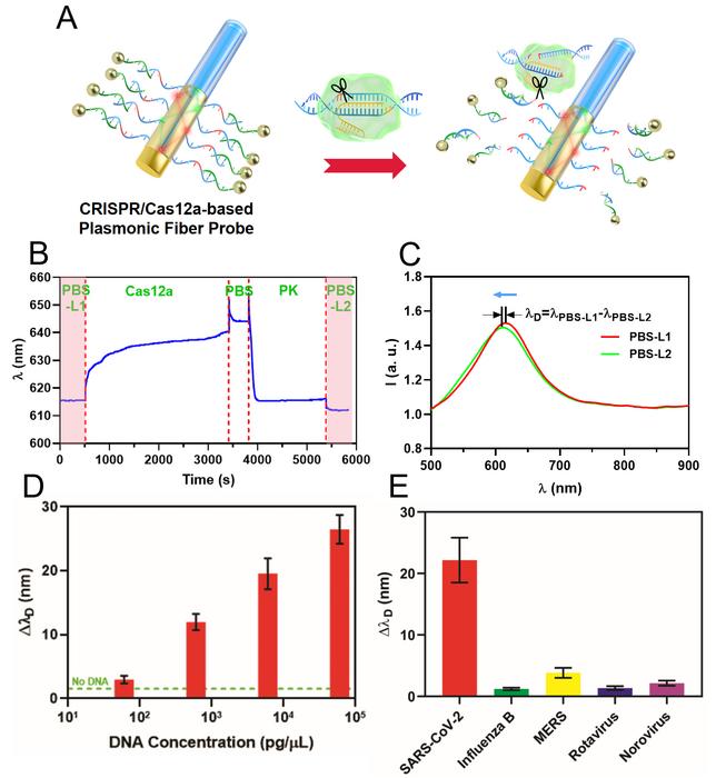 Figure 4. Fiber optic sensing of viral N gene DNA.