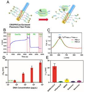 Figure 4. Fiber optic sensing of viral N gene DNA.