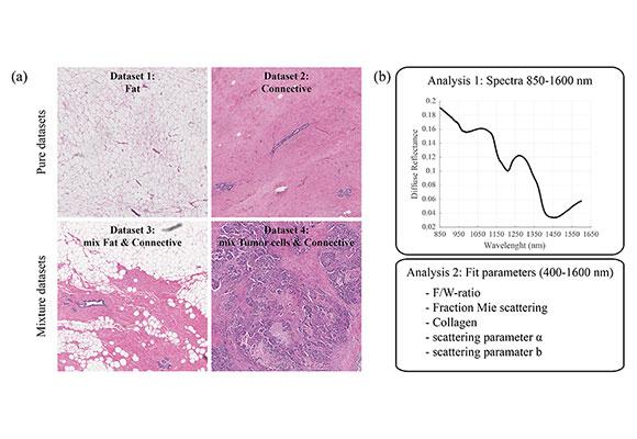 Examples of Histopathology in the Datasets Used in the Analyses