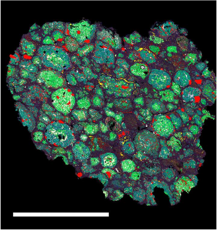 Element Map of Renazzo Meteorite