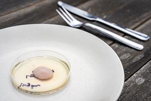 Fungi on a plate