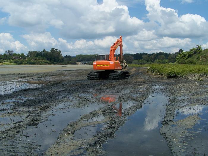 Mangrove removal in New Zealand