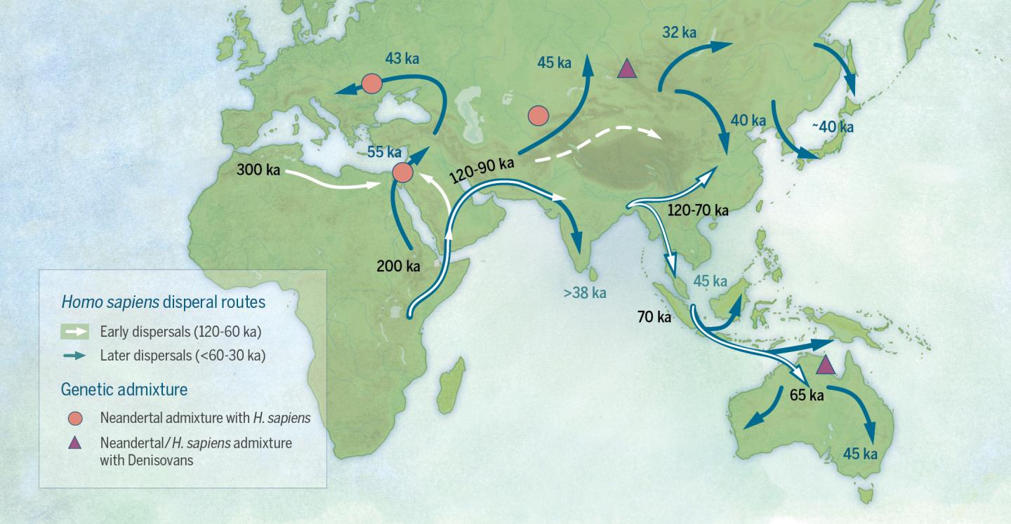 Migration Routes Map