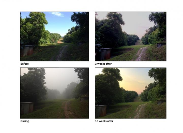 Pollution Impact of Forest Fire Haze
