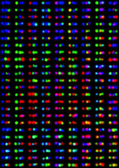 DNA Barcode: 216 Examples