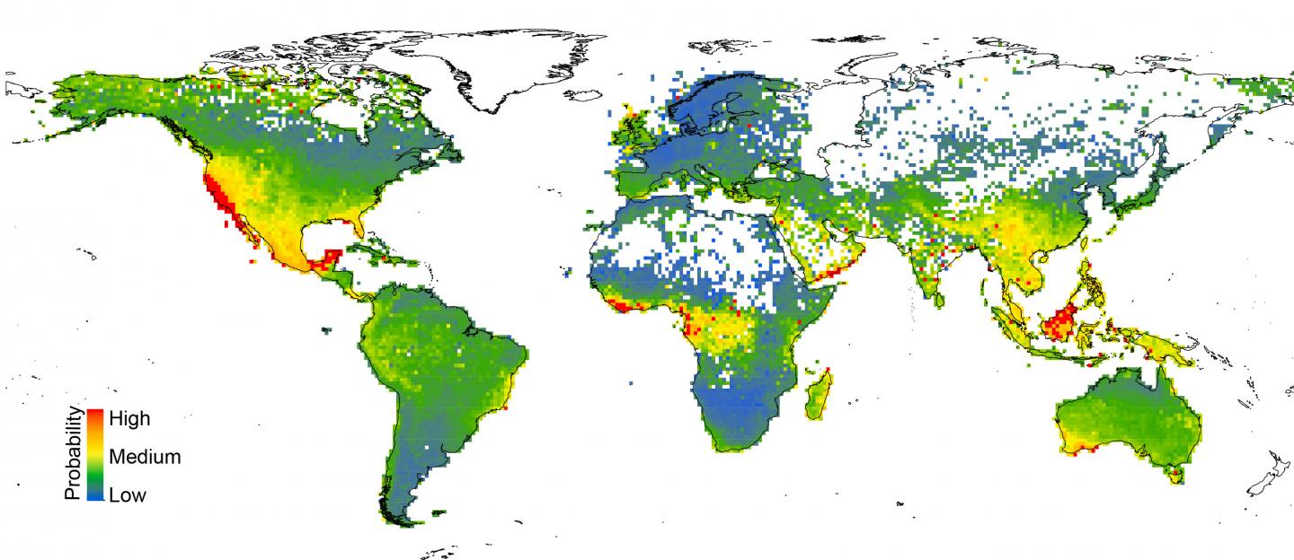 Plants at Risk