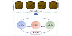 graphical abstract