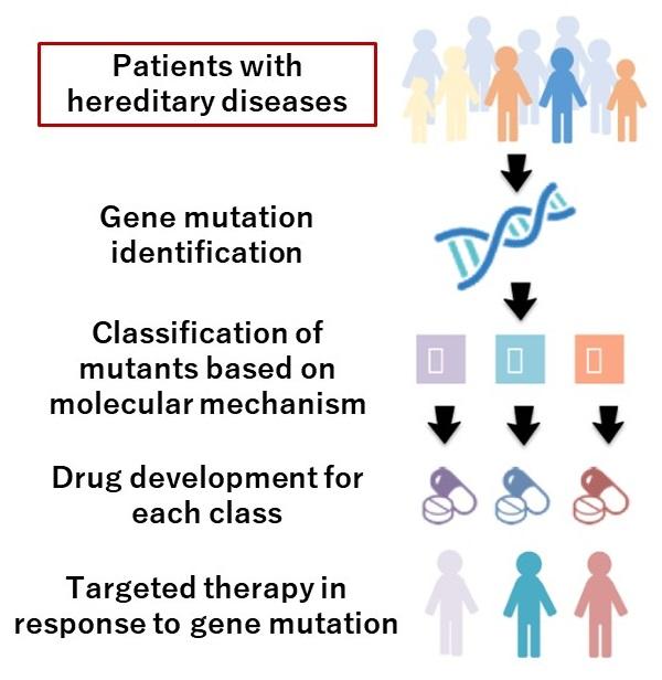遺伝性疾患のプレシジョン・メディシンのイメージ