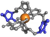 Siderophore Clasping Iron Atom