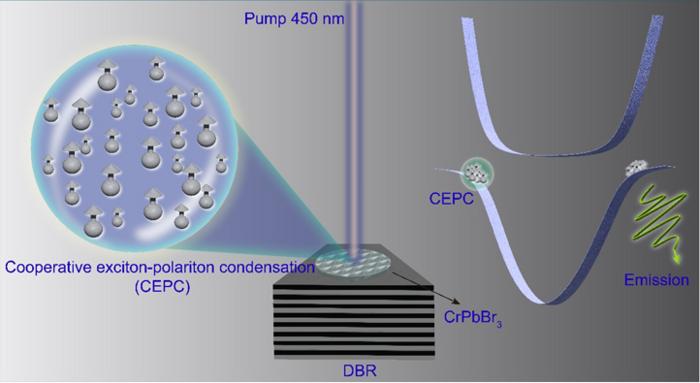 Figure | The cooperative exciton- polariton condensate at a non-zero momentum.