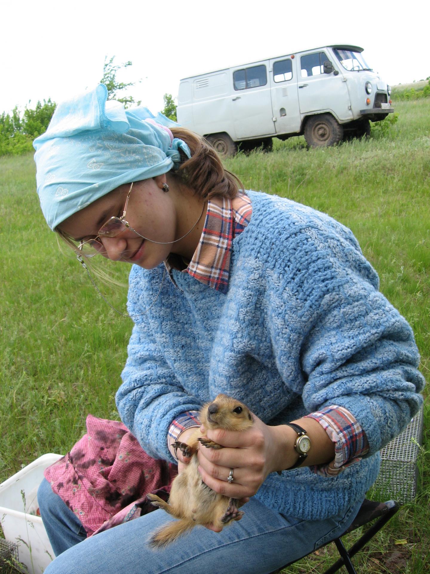 Females Aren't Always to Blame for Reproductive Failure, Squirrel Study Suggests (2 of 9)