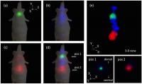 High-Resolution, Multicolor 3-D Molecular Imaging of a Live Mouse