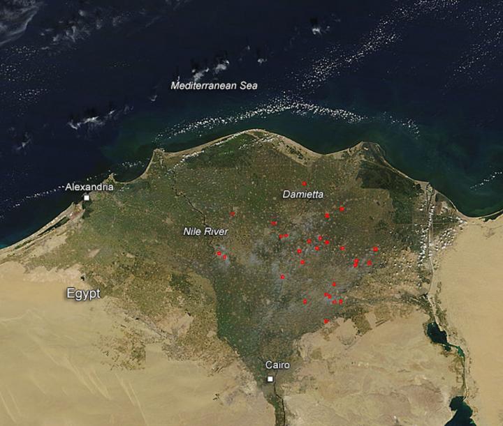 Fires in the Egypt River Delta