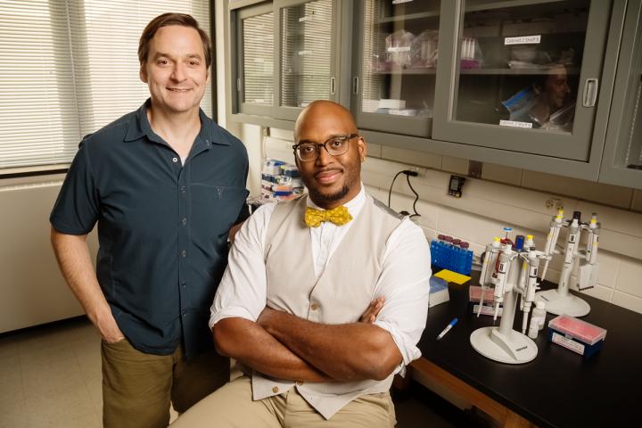 Lizards Demonstrate Rapid Evolution in the Face of Extreme Cold