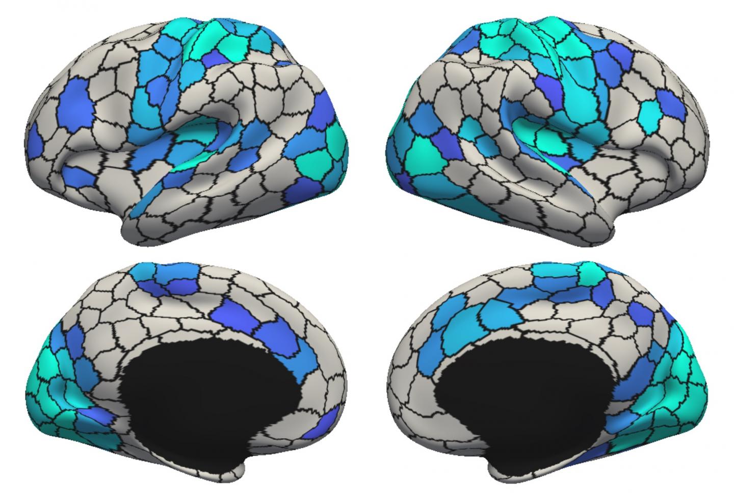 Time of Day Affects Global Brain Fluctuations