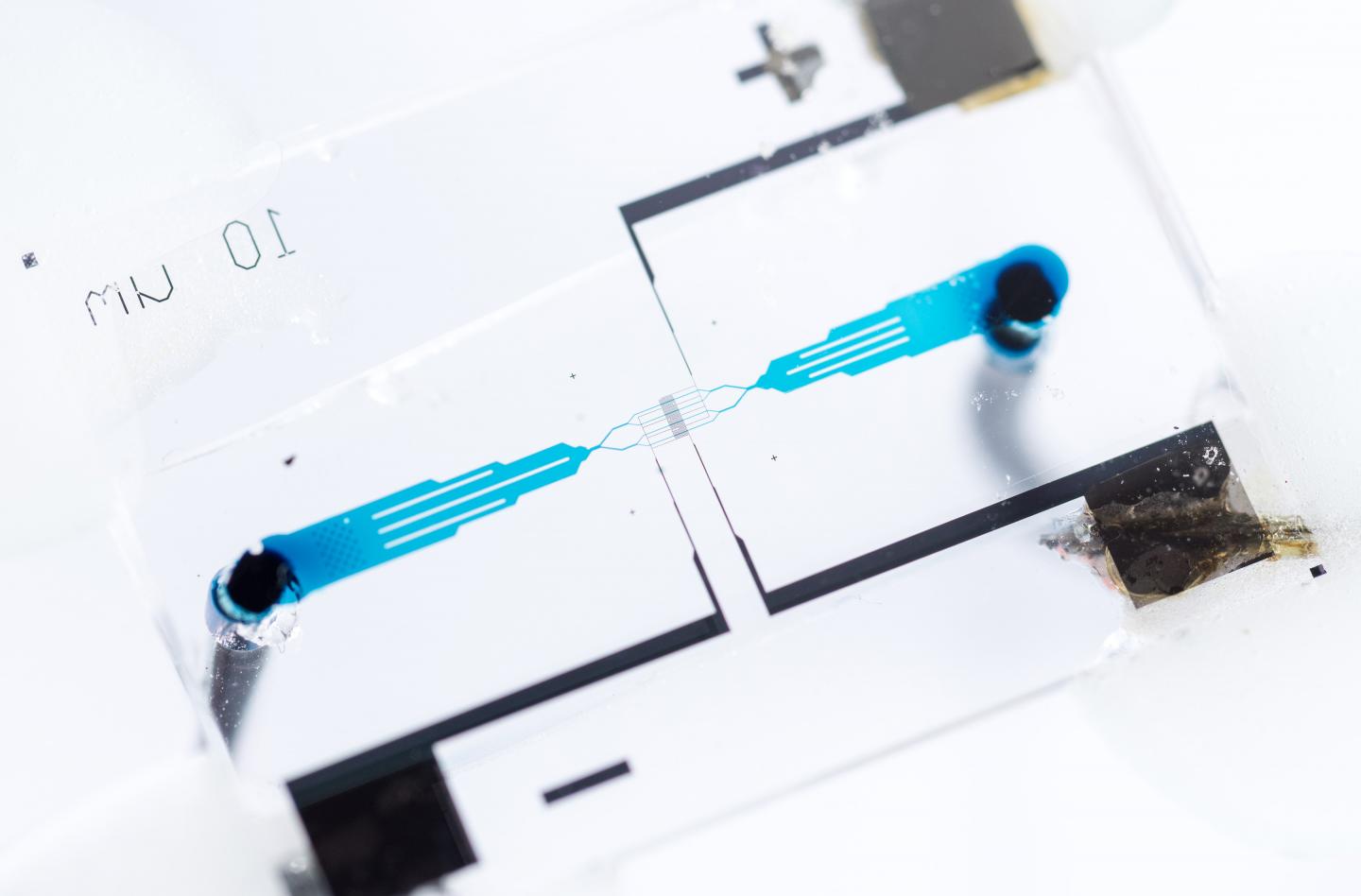 Hybrid Microfluidic Chip