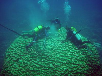 Scientists Drill into Ancient Corals to Find Clues About Climate Change and Soils