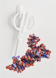 tRNA trimming