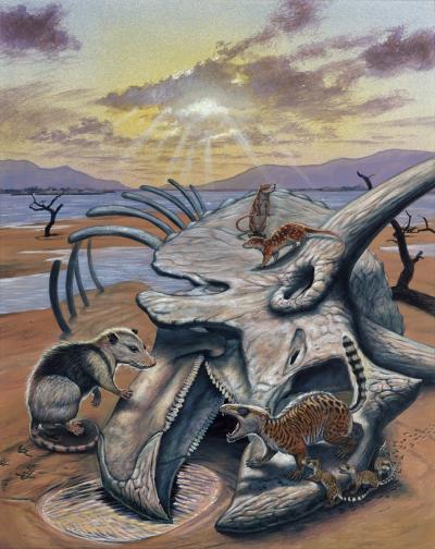 Last of the Dinosaurs