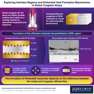 Exploring Interface Regions and Kirkendall Void Formation Mechanisms in Nichel-Tungsten Alloys