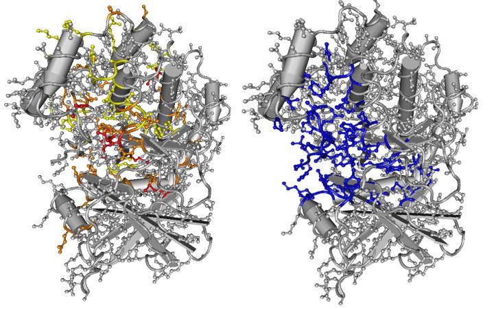 New Statistical Analysis Reveals Thousands of Rare Mutations Linked with Cancer