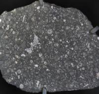 A slice through an Allende meteorite